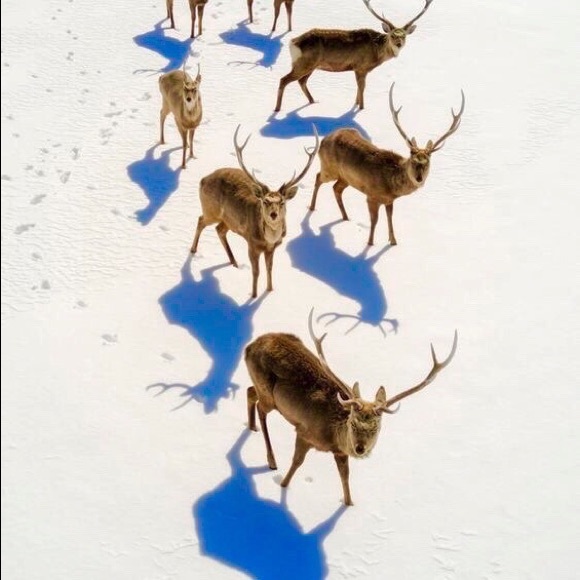 Meet your Posher, Michael - Picture 1 of 1